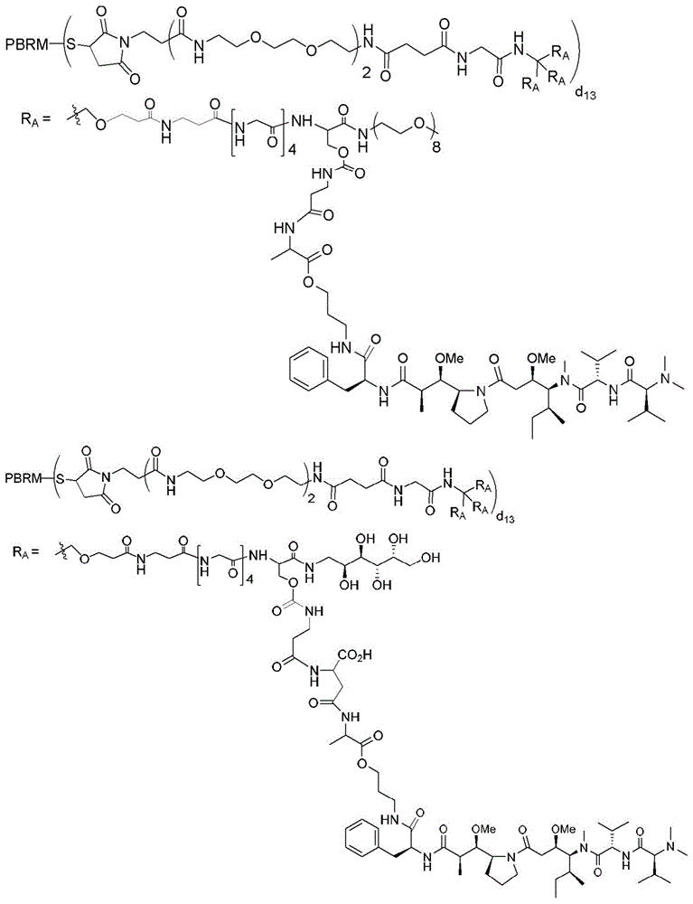 Figure BDA0003135424430001901