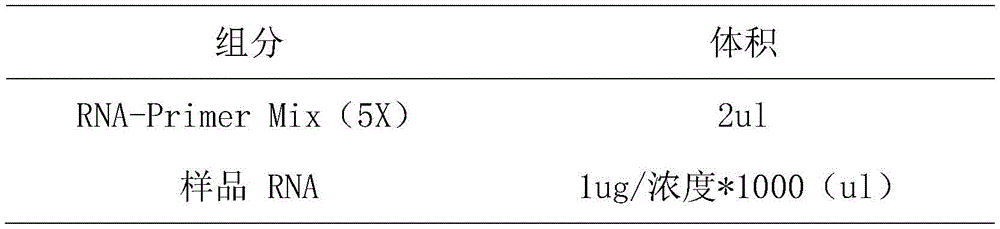 Figure BDA0002961614250000061