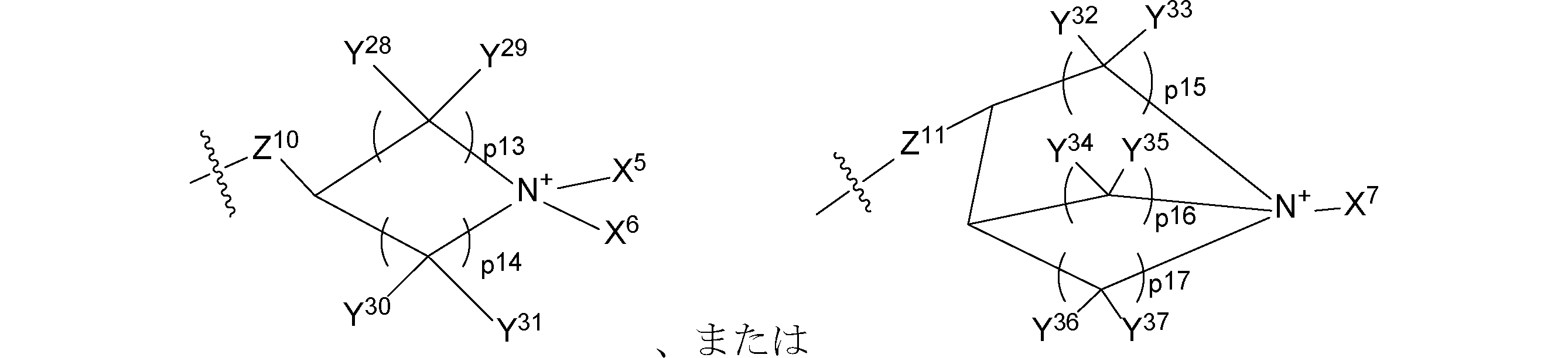Figure JPOXMLDOC01-appb-C000053