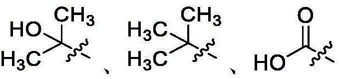 Figure BDA0002710254920000242