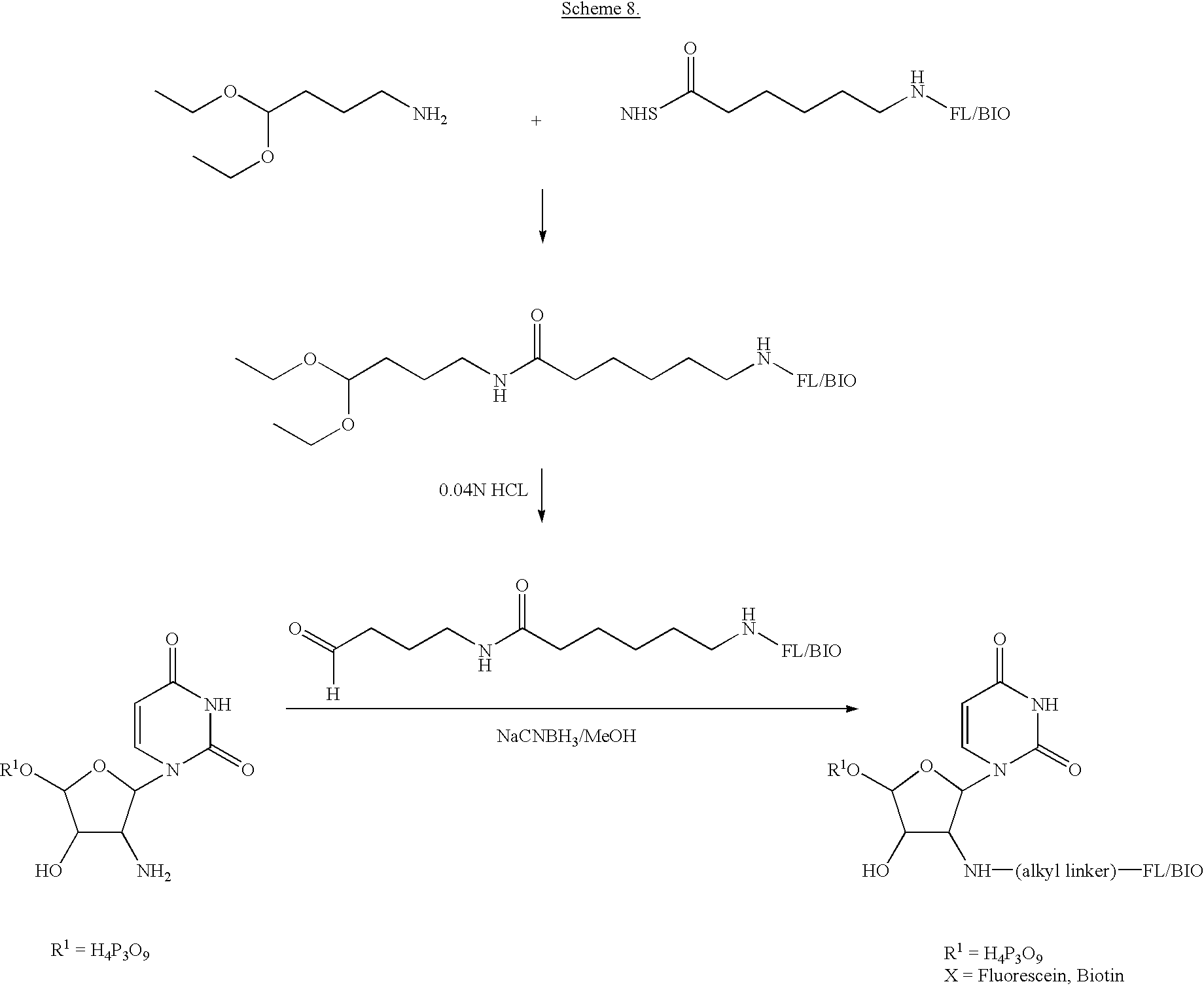Figure US06864059-20050308-C00085