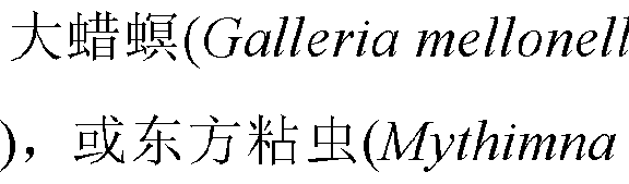 Figure imgf000011_0002