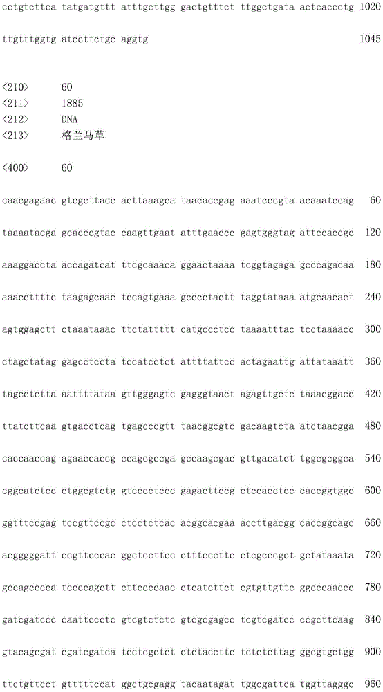 Figure IDA0001706936810000911