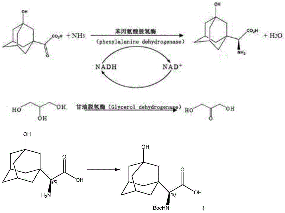 Figure BDA0003574411530000091
