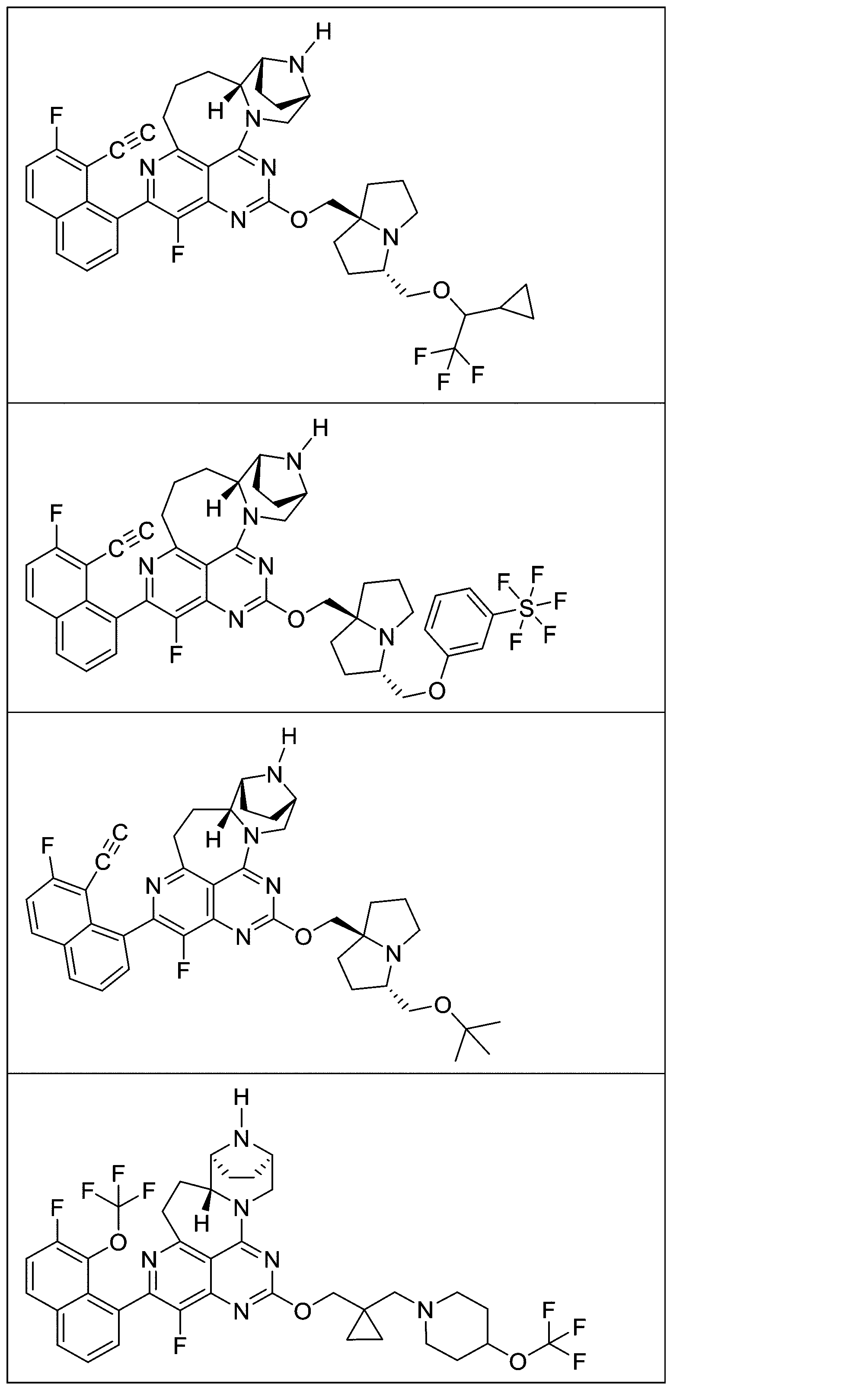 Figure 2025513258000096