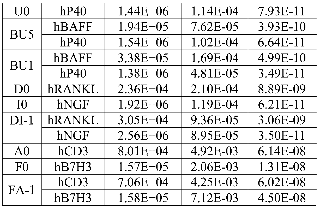Figure PCTCN2021070832-appb-000130