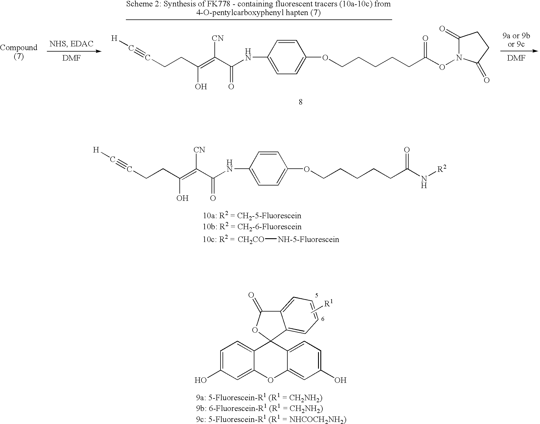 Figure US20070269841A1-20071122-C00008