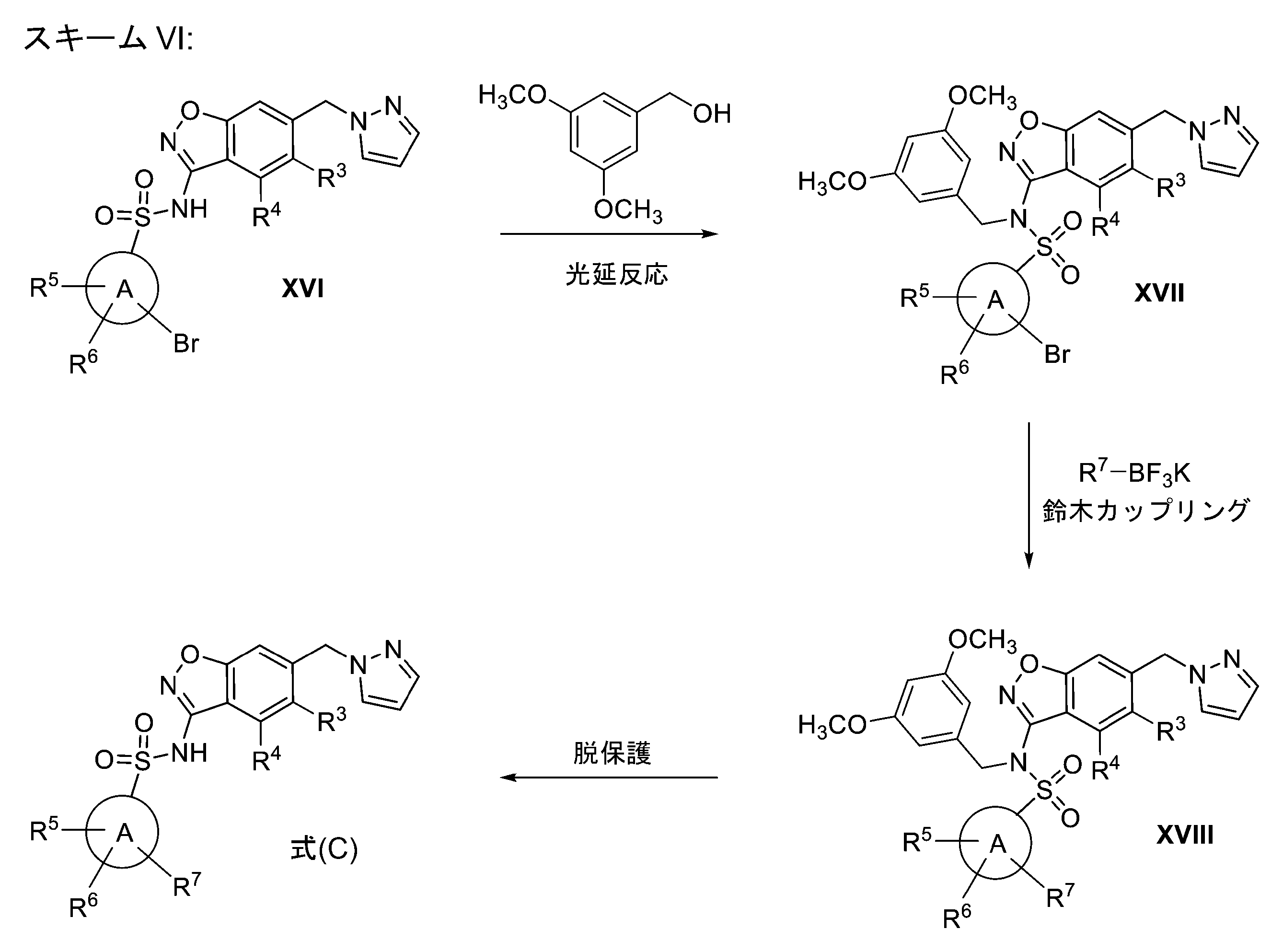 Figure 2023175821000019