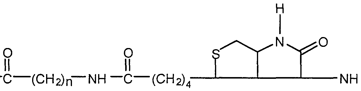 Figure imgf000015_0001