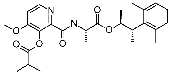 Figure imgf000006_0001