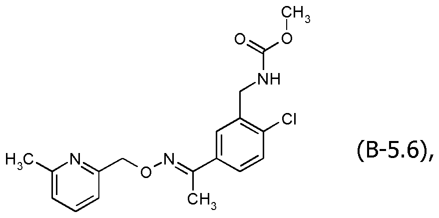Figure imgf000090_0001