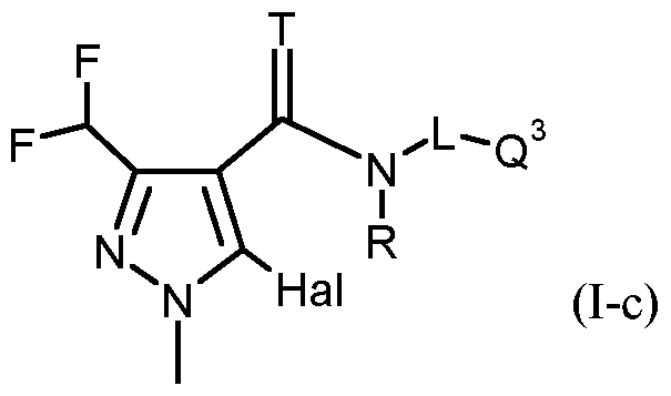 Figure imgf000012_0002