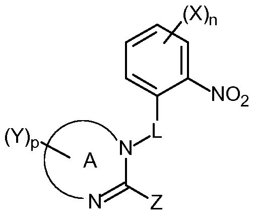 Figure imgf000010_0001