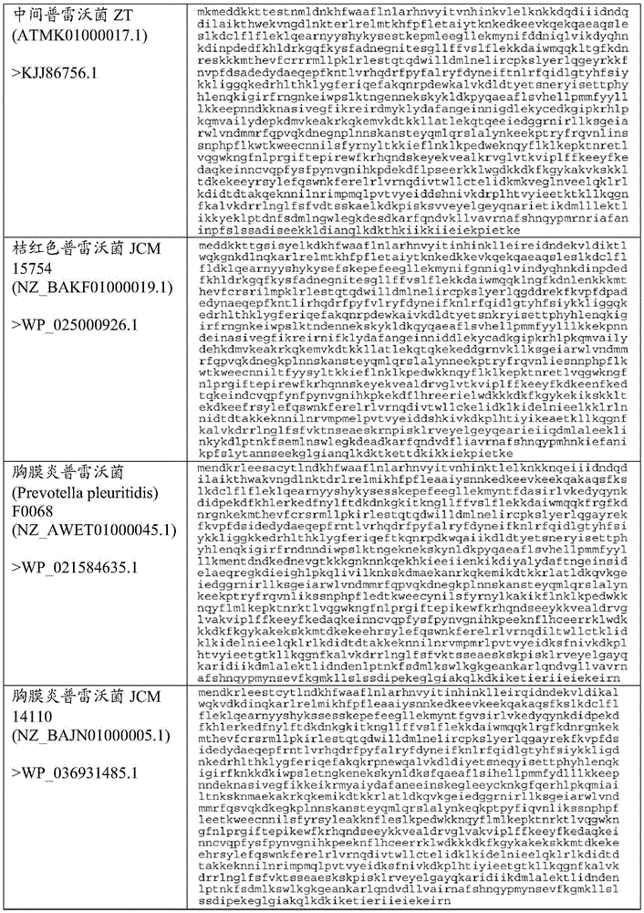 Figure BDA0002313867470003581