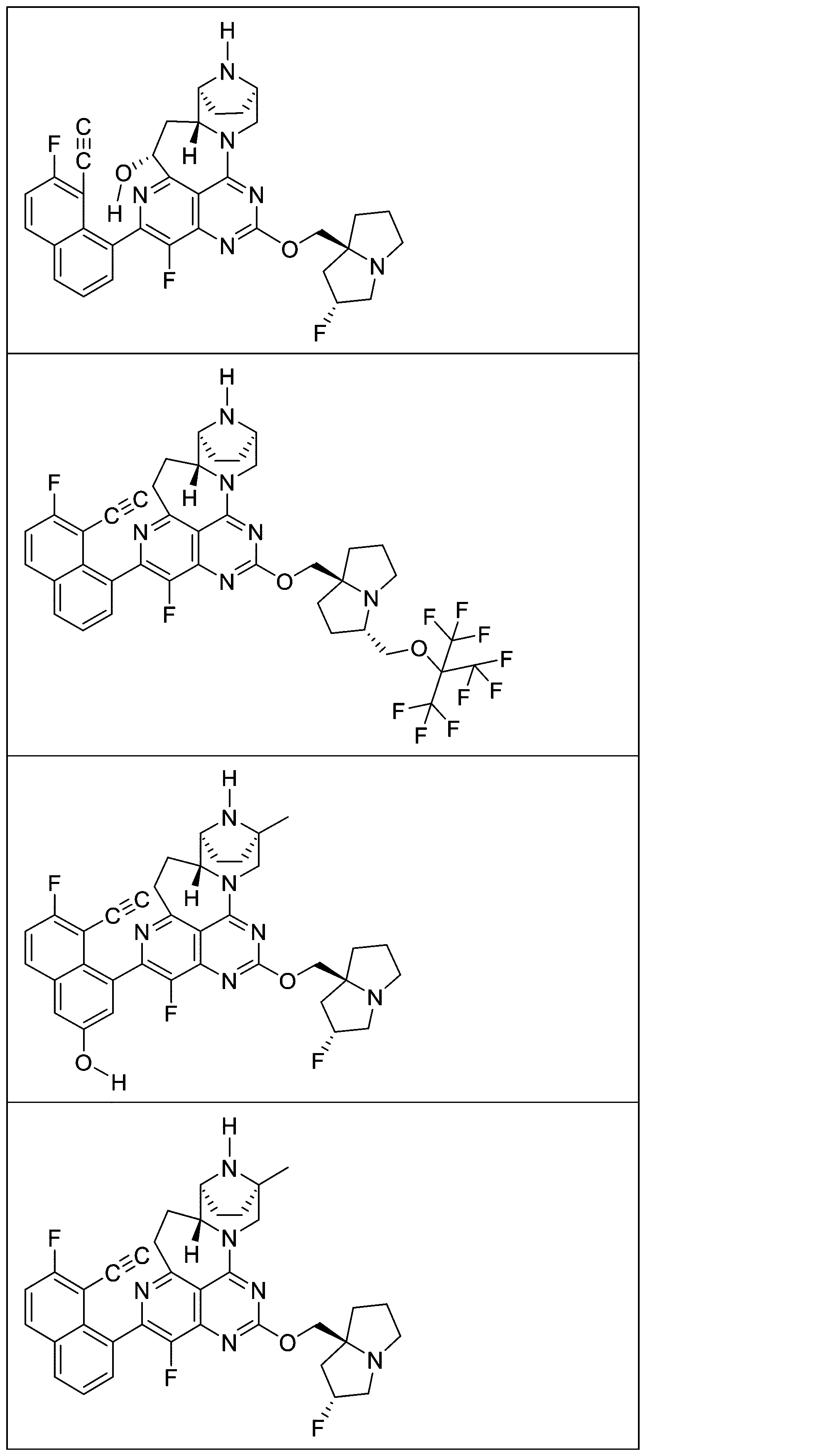 Figure 2025513258000989