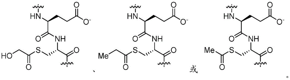 Figure BDA0003264319780000522