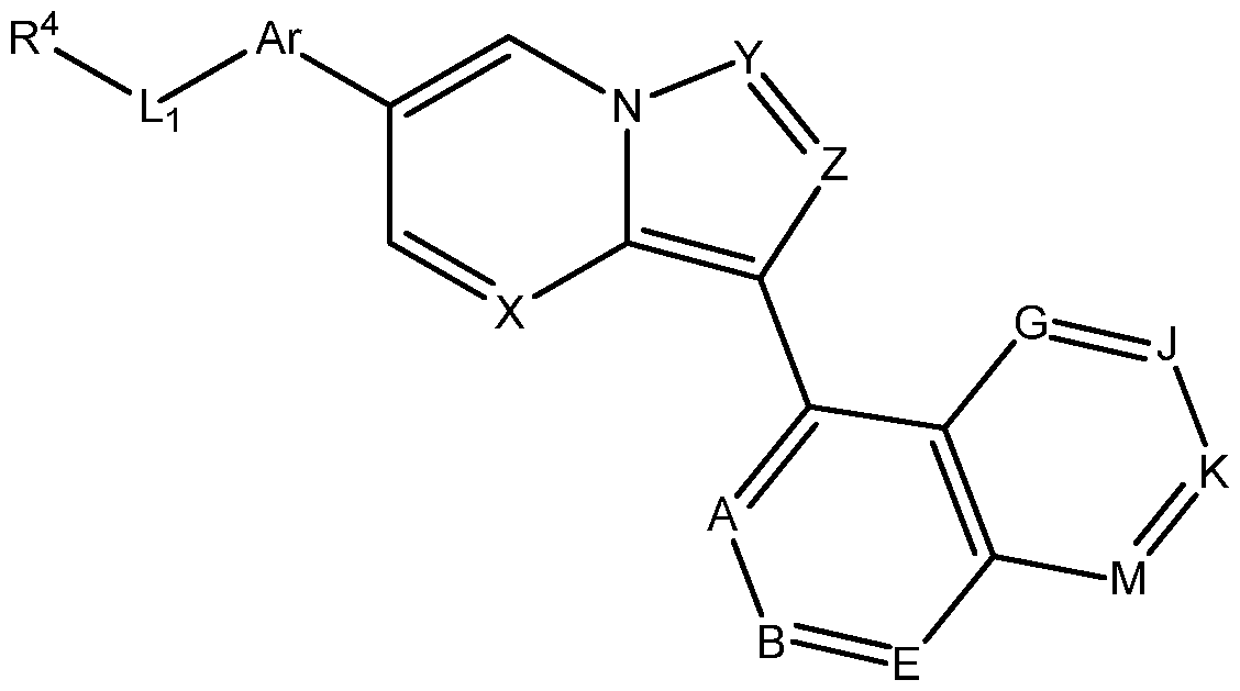Figure imgf000009_0001