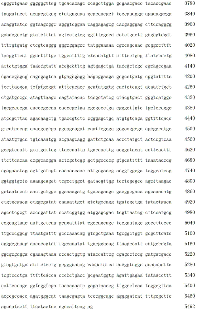 Figure IDA00003076741800291