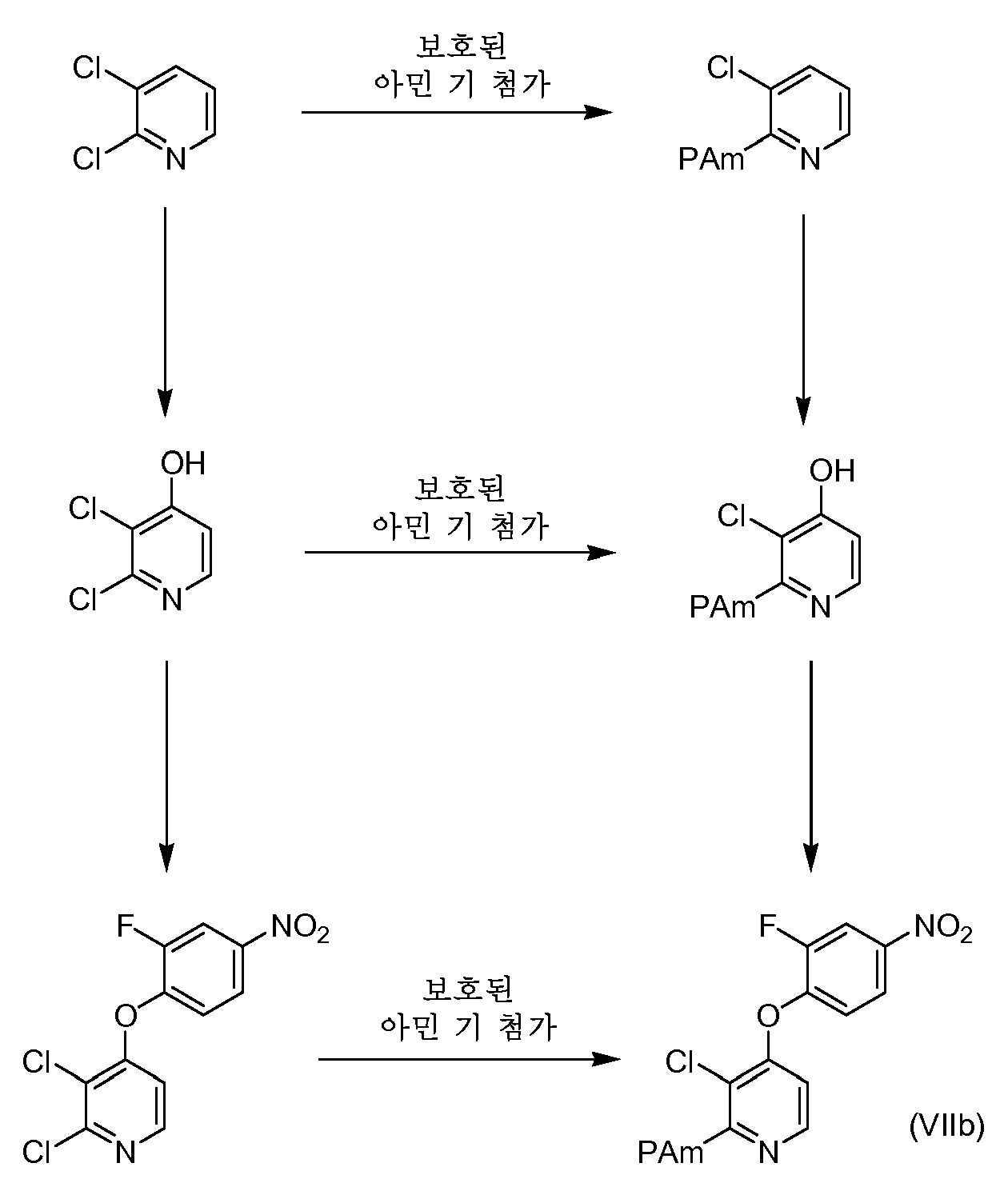 Figure 112010053812554-pct00036