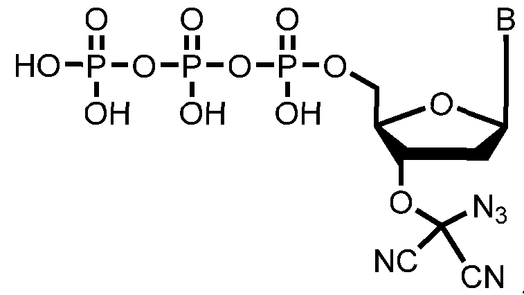Figure imgf000243_0004