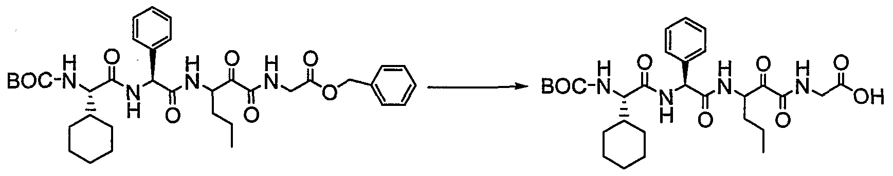 Figure imgf000073_0002