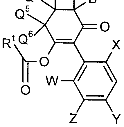 Figure imgf000024_0002