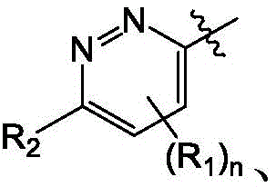 Figure BDA0004113614020001301
