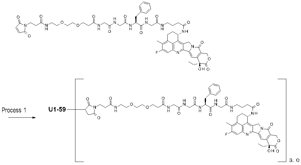 Figure JPOXMLDOC01-appb-C000042