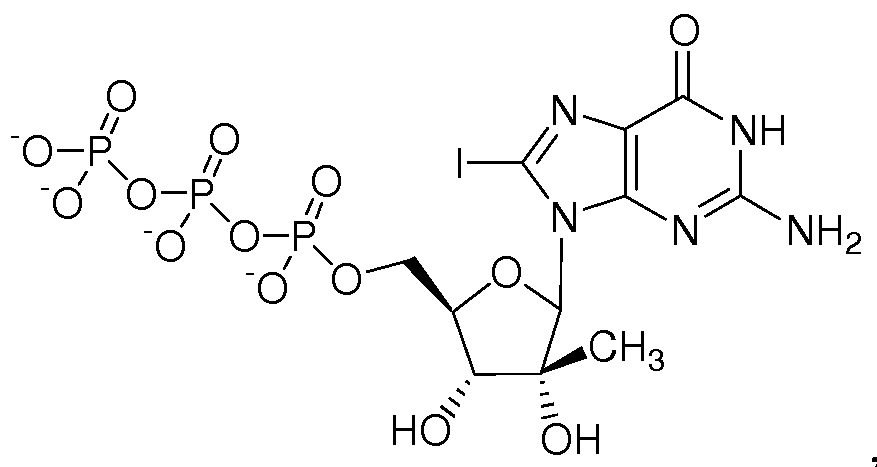Figure imgf000032_0002
