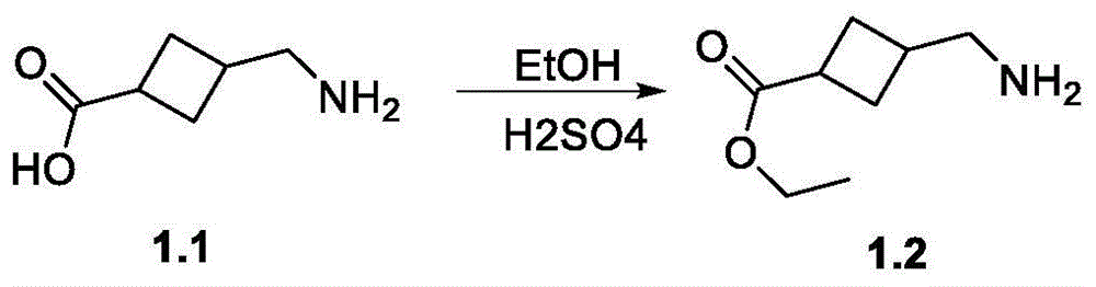 Figure BDA0002264234980000352