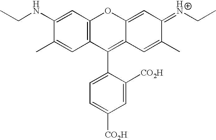 Figure US20070154927A1-20070705-C00046