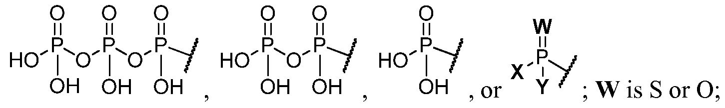 Figure imgf000007_0002