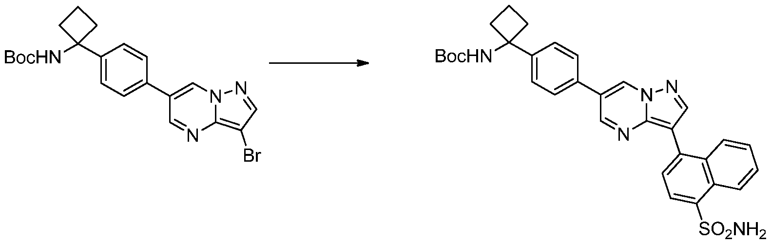 Figure imgf000218_0003