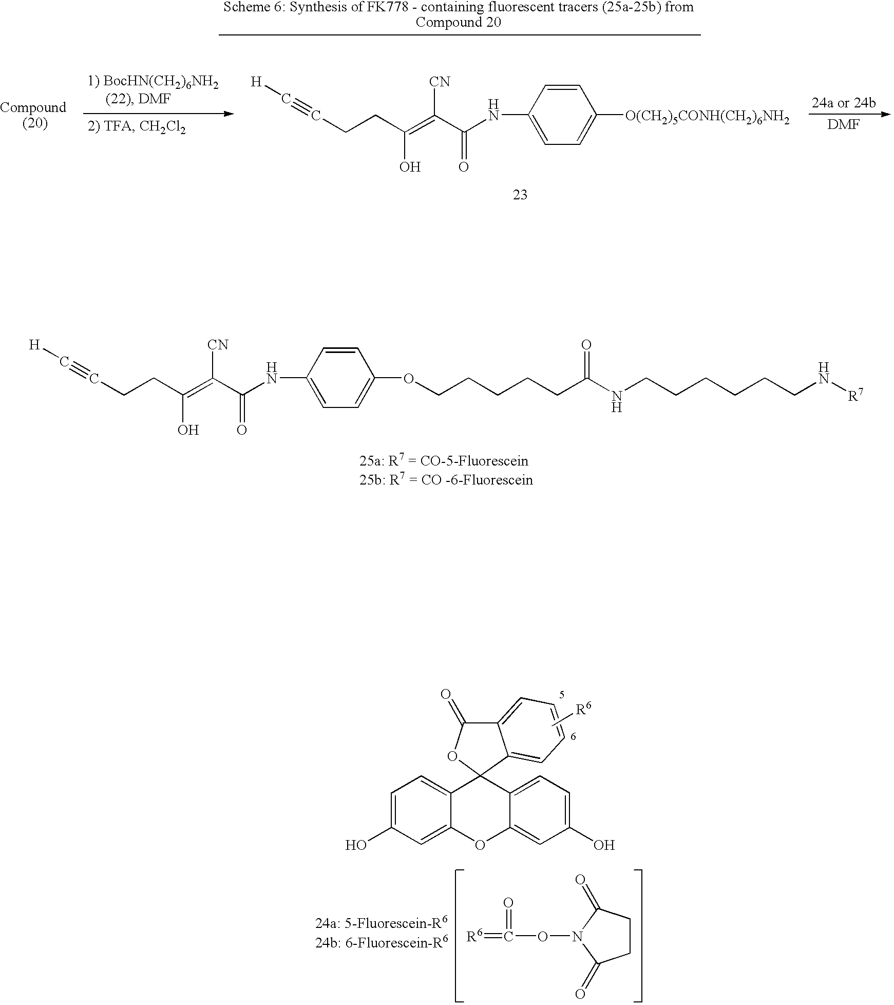 Figure US20070269841A1-20071122-C00012