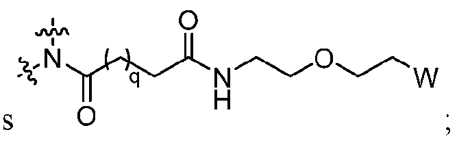 Figure imgf000006_0005