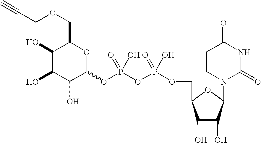 Figure US20080108557A1-20080508-C00135