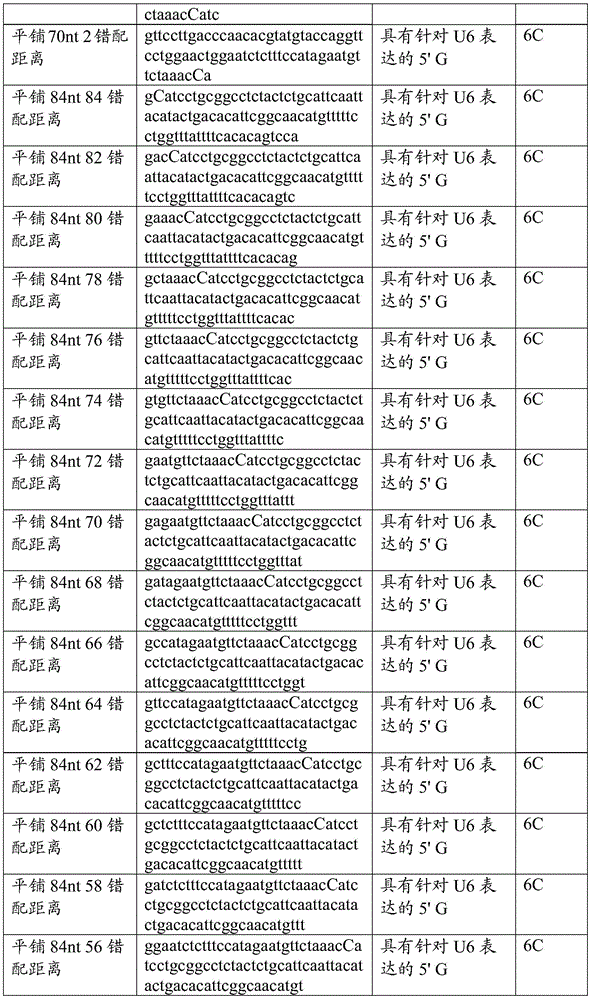 Figure BDA0002313867470003351