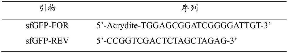 Figure BDA0002345904050000171