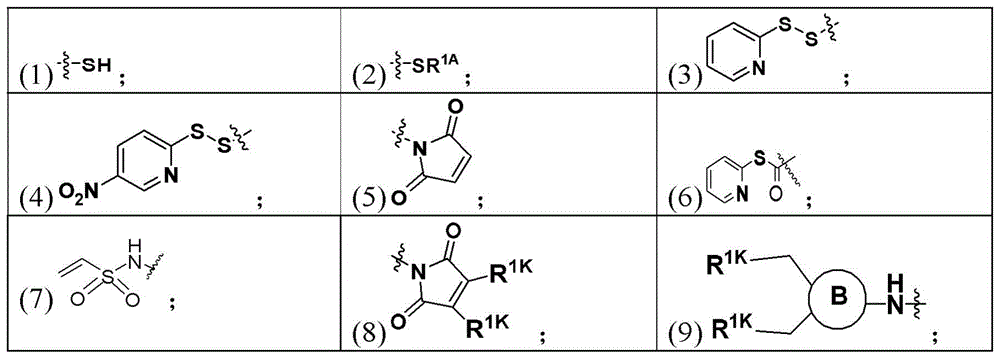 Figure FDA0003135424420000051
