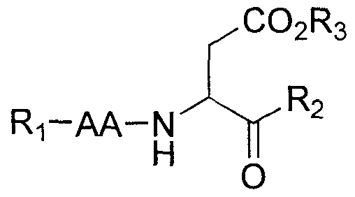 Figure imgf000007_0001