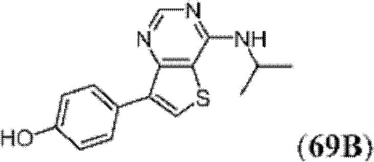 Figure BDA0000083236130002233