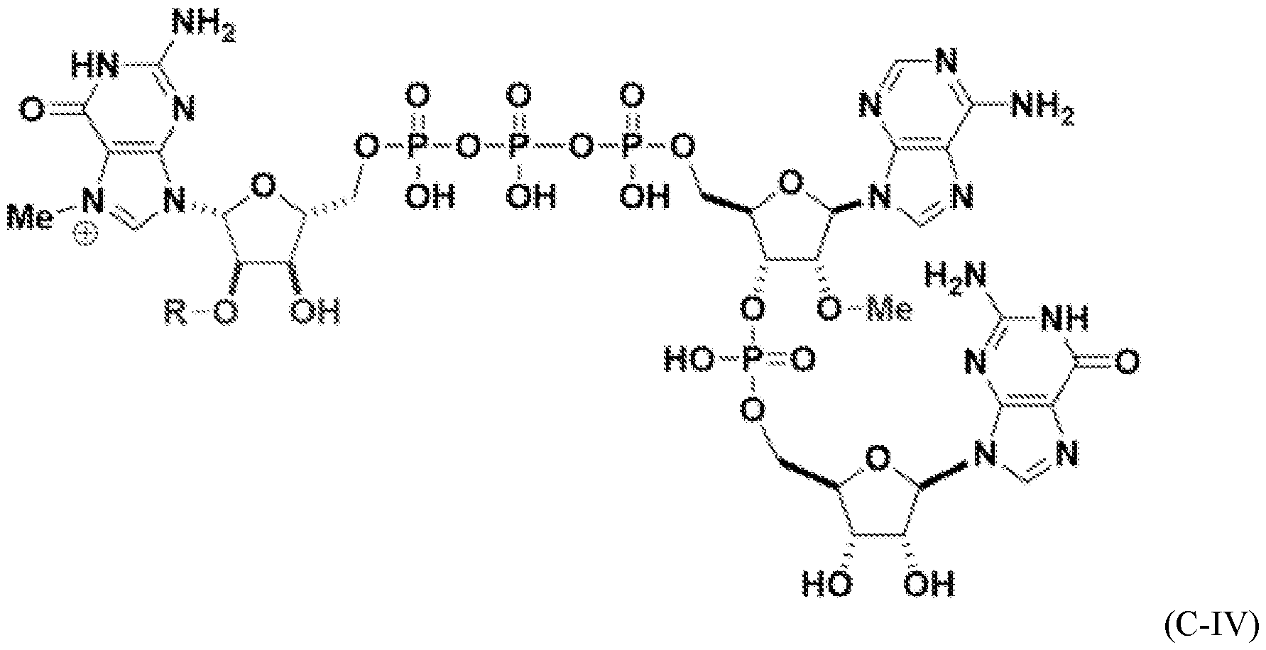 Figure imgf000185_0001