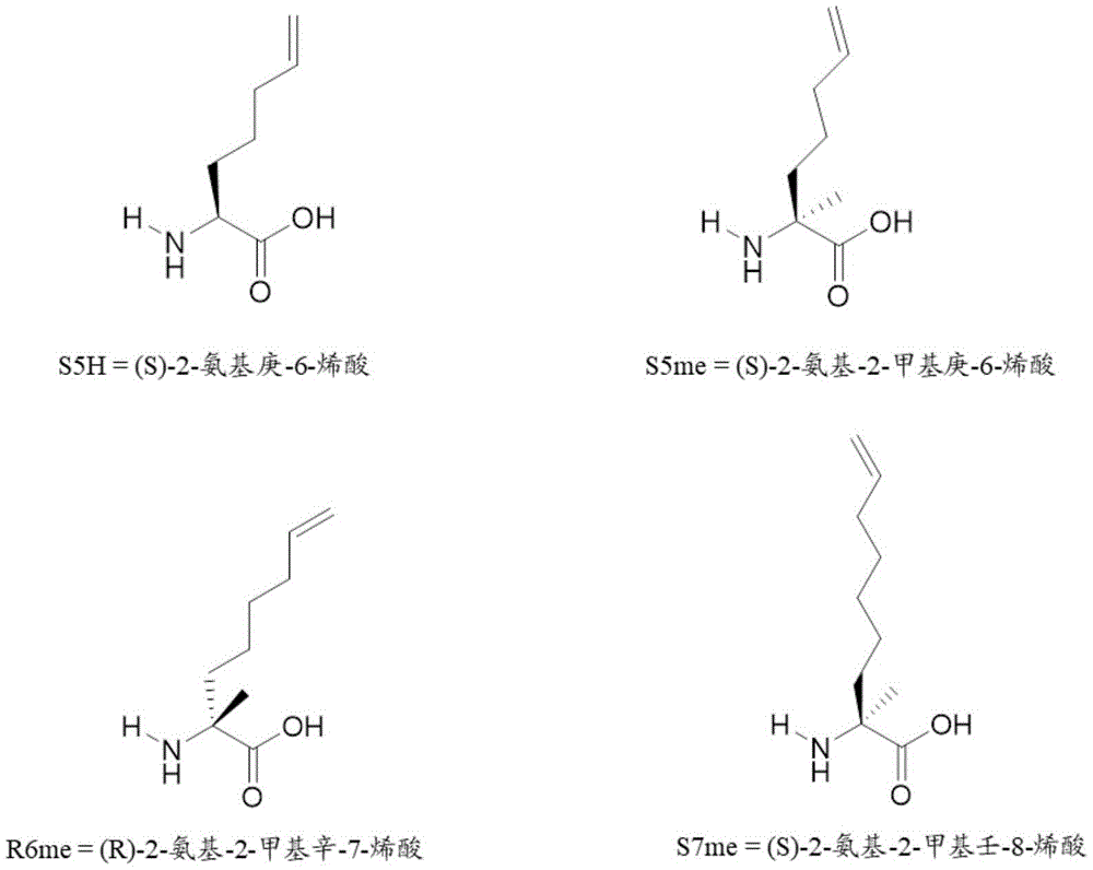 Figure BDA0003800777050000411