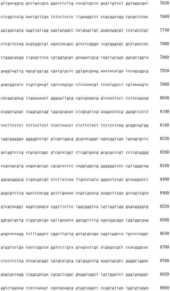 Figure IDA0002872168960001871