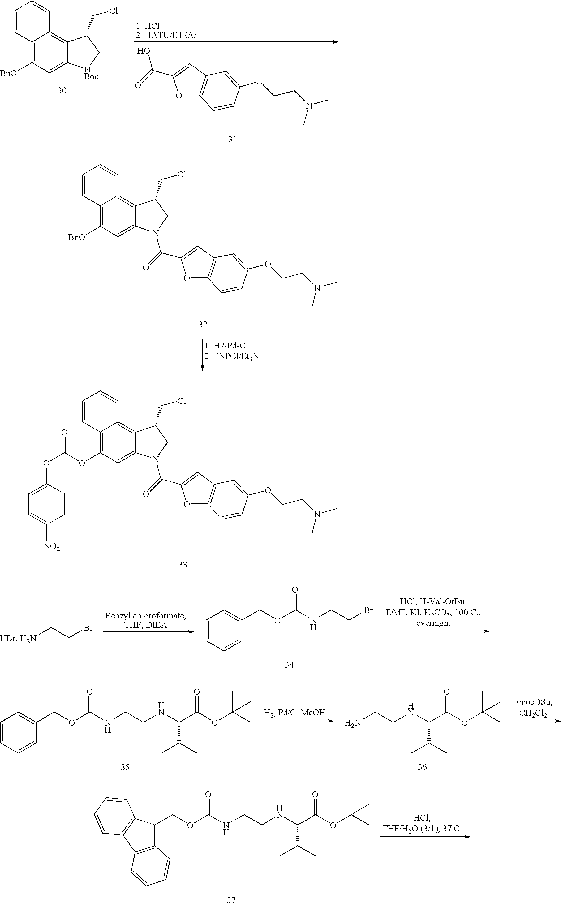 Figure US20080279868A1-20081113-C00126