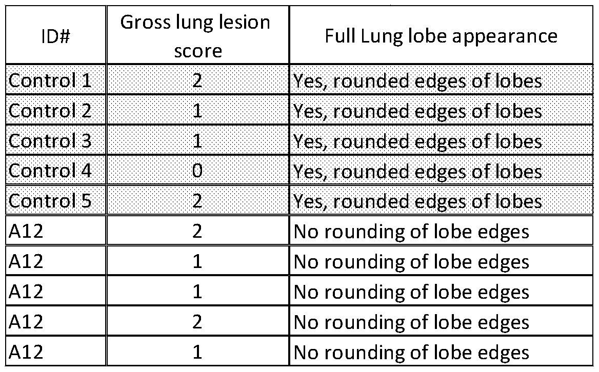 Figure imgf000171_0001