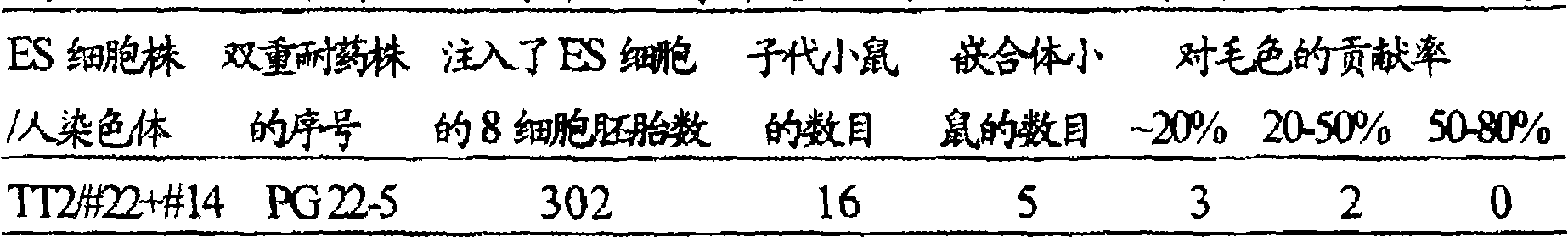 Figure A20081000997700551