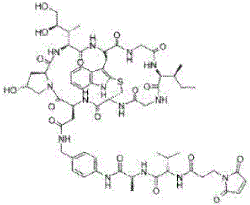 Figure BDA0003107814740001103