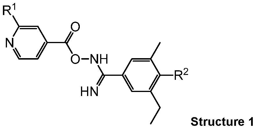 Figure imgf000013_0001