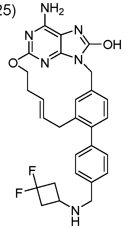Figure imgf000021_0002